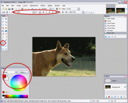 Location of Text and Color Tools in Paint.NET