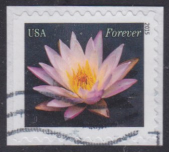 United States Water Lily stamp used more than a week before first day of issue