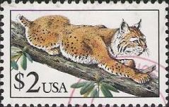 $2 U.S. postage stamp picturing bobcat
