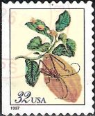 32-cent U.S> postage stamp picturing citron