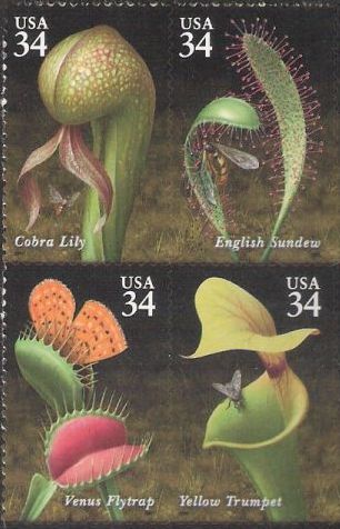 Block of four 34-cent U.S. postage stamps picturing carnivorous plants