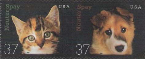 Pair of 37-cent U.S. postage stamps picturing kitten and puppy