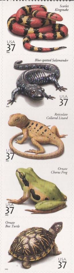Strip of five 37-cent U.S. postage stamps picturing reptiles and amphibians