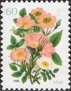 60-cent U.S. postage stamp picturing roses