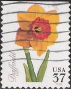 37-cent U.S. postage stamp picturing daffodil