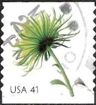 41-cent U.S. postage stamp picturing chrysanthemum