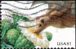 41-cent U.S. postage stamp picturing bat and flowers