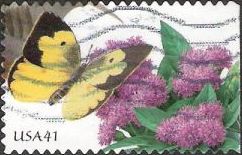 41-cent U.S. postage stamp picturing butterfly and flowers