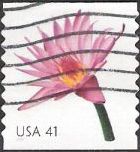 41-cent U.S. postage stamp picturing water lily