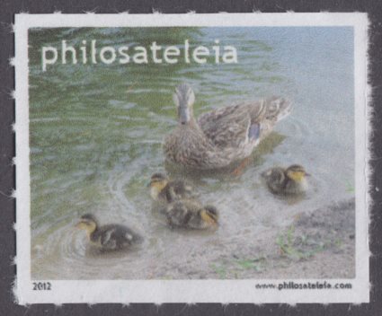 Ducks stamp
