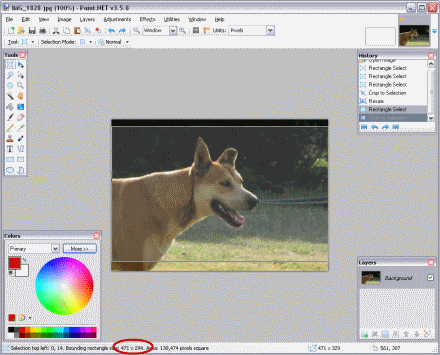 Location of Selection Dimensions in Paint.NET