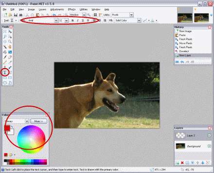 Location of Text and Color Tools in Paint.NET Location of Text and Color Tools in Paint.NET