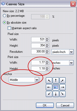 Canvas Size Dialog Box in Paint.NET