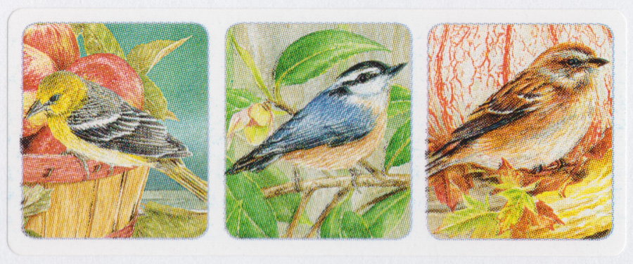 Boys Town cinderella stamp picturing three birds