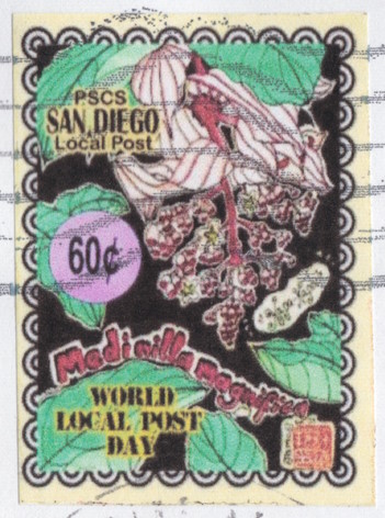 60¢ San Diego Local Post stamp picturing Medinilla magnifica