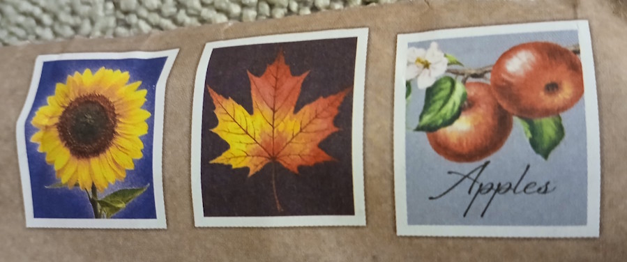 Preprinted sunflower, leaf, and apple designs on St. Joseph’s Indian School cover