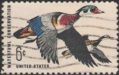 65-cent U.S. postage stamp picturing ducks