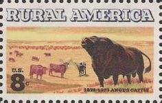 8-cent U.S. postage stamp picturing Angus cattle