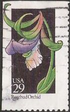 29-cent U.S. postage stamp picturing rosebud orchid