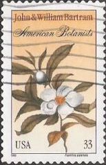 33-cent U.S. postage stamp picturing flowering plant