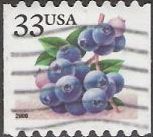 33-cent U.S. postage stamp picturing blueberries