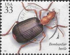 33-cent U.S. postage stamp picturing bombardier beetle
