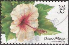 33-cent U.S. postage stamp picturing Chinese hibiscus