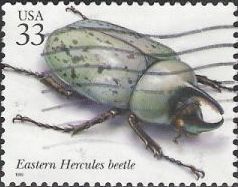 33-cent U.S. postage stamp picturing Eastern Hercules beetle