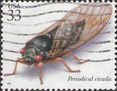 33-cent U.S. postage stamp picturing periodical cicada