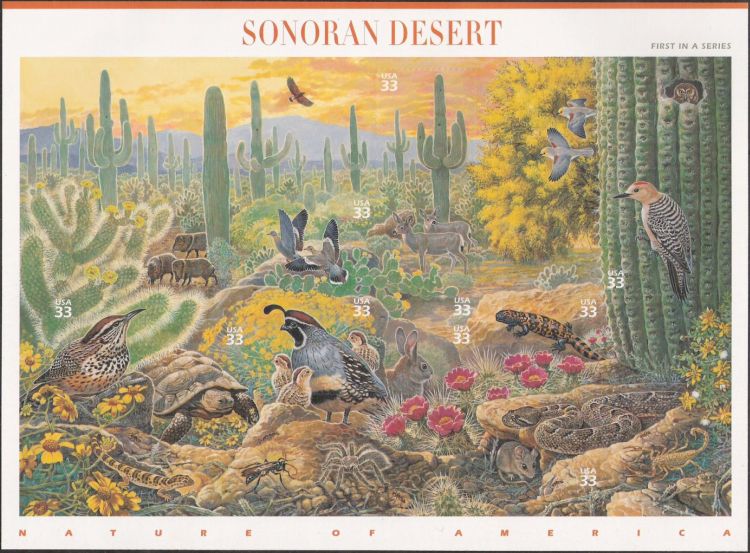 Sheet of 10 33-cent U.S. postage stamps picturing plants and animals of Sonoran Desert