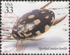 33-cent U.S. postage stamp picturing spotted water beetle