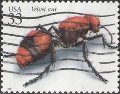33-cent U.S. postage stamp picturing velvet ant