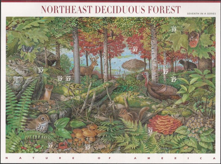 Sheet of 10 37-cent U.S. postage stamps picturing plants and animals of Northeast deciduous forest