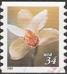34-cent U.S. postage stamp pcituring symbidium orchid