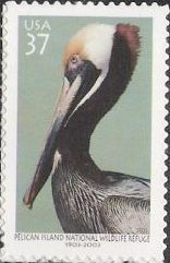 37-cent U.S. postage stamp picturing pelican