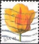 41-cent U.S. postage stamp picturing tulip