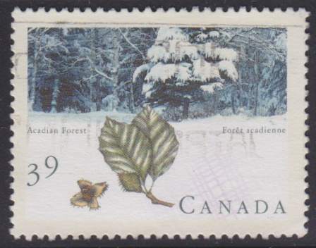 39-cent Canadian postage stamp picturing the Acadian Forest in Canada