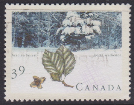 Acadian Forest 39-cent Canadian postage stamp picturing the Acadian Forest in Canada