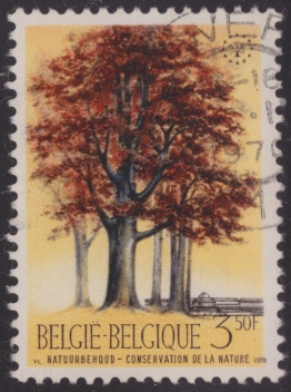 3.50-franc Belgian postage stamp picturing beech trees in Belgium