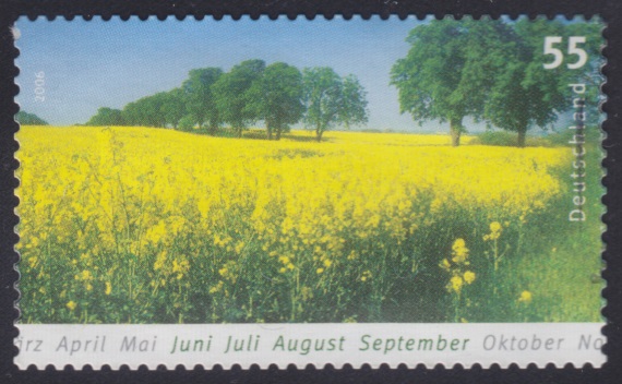 55-cent German postage stamp picturing a canola field