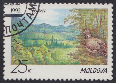 25-kopeck Moldovan postage stamp picturing Codri Nature Reserve in Moldova