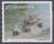 Ducks Ducks stamp